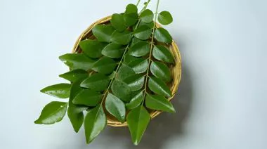 garnishing-instructions-image